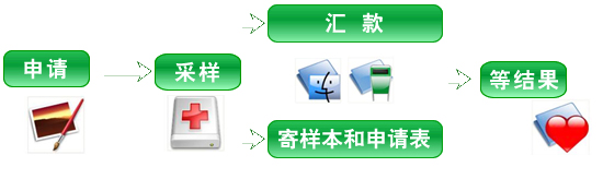 DNA亲子鉴定流程