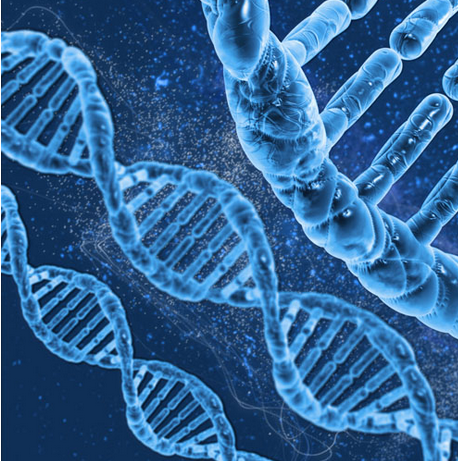 两会关注：预防拐卖，从建新生儿DNA库开始